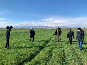 The monitoring group inspected the fields