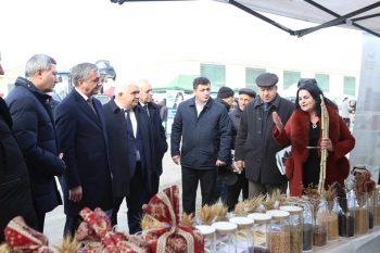 Əkinçilik ET İnstitutu Ağdaş rayonunda keçirilən ilin ilk Aqrar İnnovasiya Festivalında iştirak edib