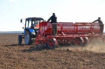 Recommendations for farmers who have delayed sowing of grain