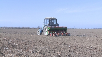 Minimal cultivation and bed planting methods tested as delayed sowing in Tartar RES