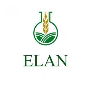 ELAN